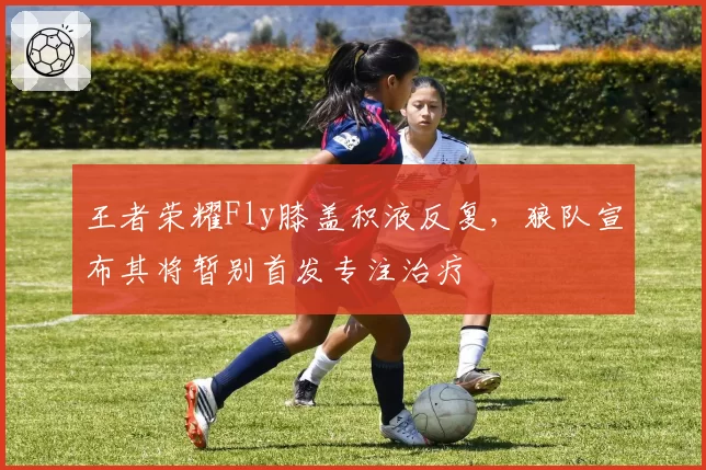王者荣耀Fly膝盖积液反复,狼队宣布其将暂别首发专注治疗