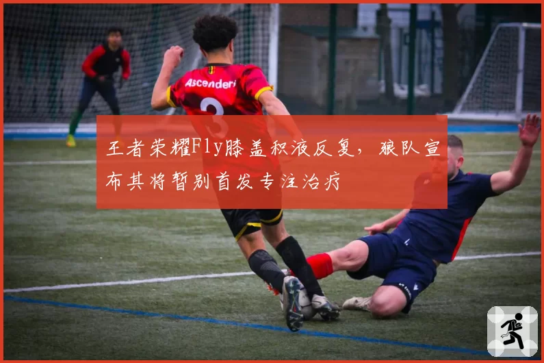 王者荣耀Fly膝盖积液反复,狼队宣布其将暂别首发专注治疗