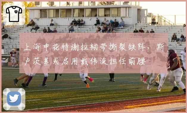 上海申花特谢拉韧带撕裂缺阵，斯卢茨基或启用戴伟浚担任前腰