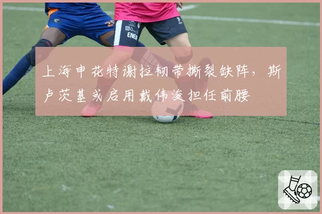 上海申花特谢拉韧带撕裂缺阵,斯卢茨基或启用戴伟浚担任前腰