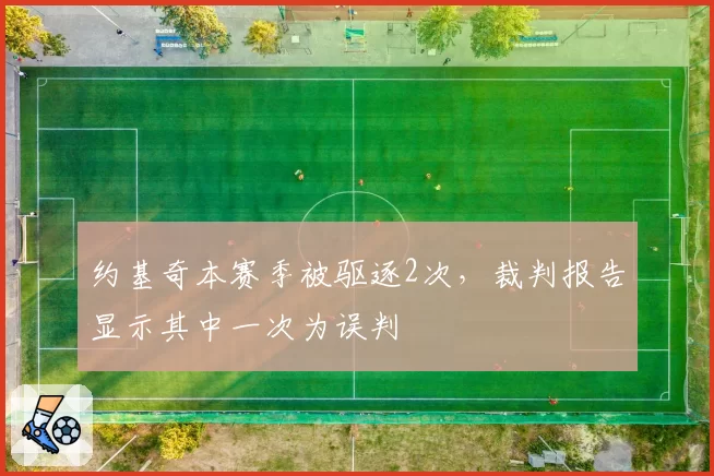 约基奇本赛季被驱逐2次，裁判报告显示其中一次为误判